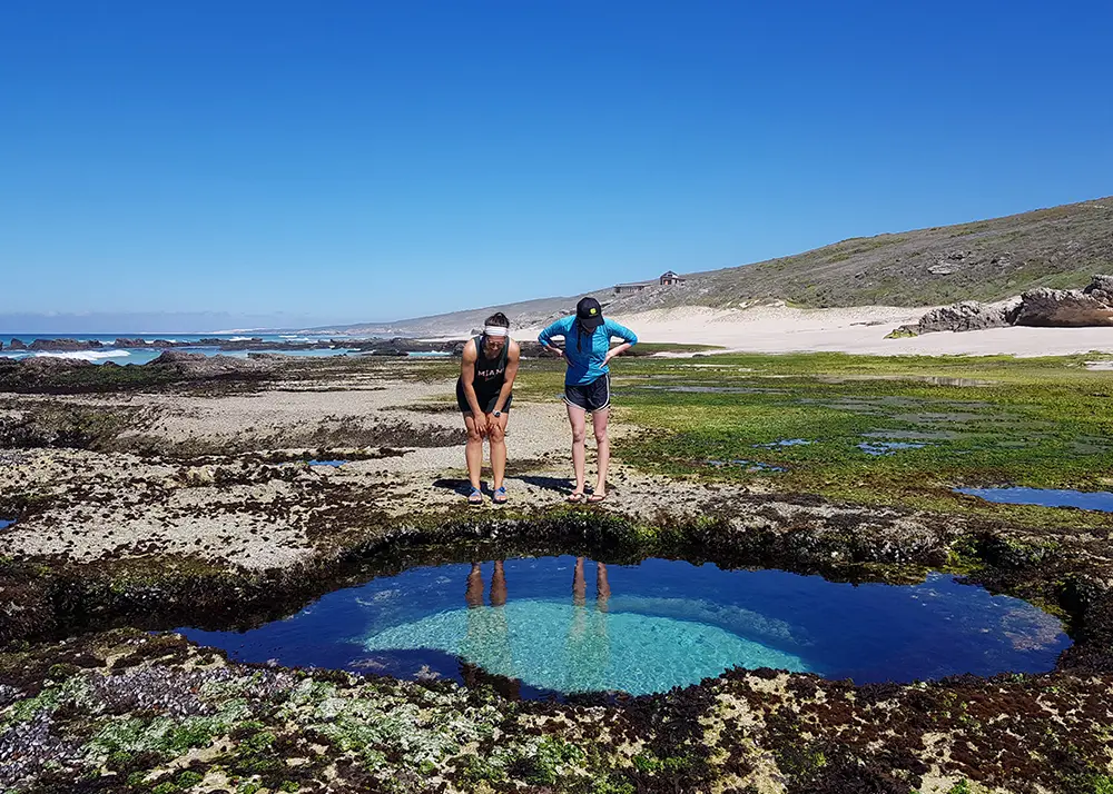 De Hoop Nature Reserve: South Africa’s Best-Kept Coastal Secret